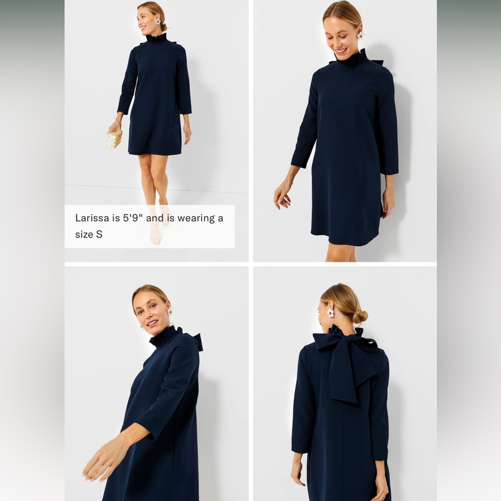 Tuckernuck navy Daphne dress